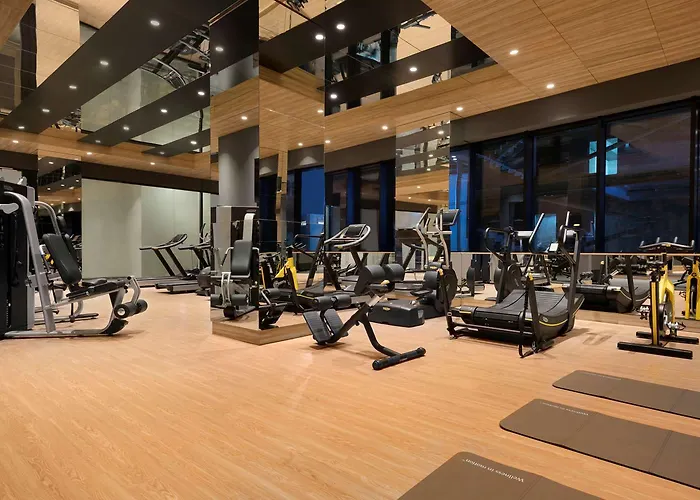 Hawthorn By Wyndham Airport 5* Istanbulská provincie